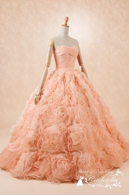 SS5592AP Cinderella & Co.,Inc.