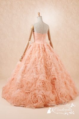 SS5592AP Cinderella & Co.,Inc.