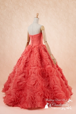SS5592CP Cinderella & Co.,Inc.