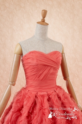 SS5592CP Cinderella & Co.,Inc.
