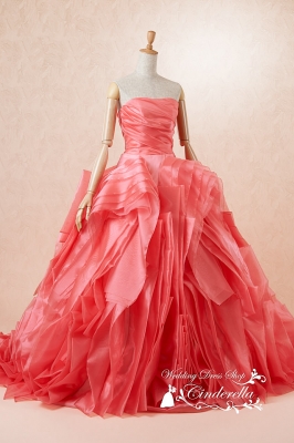 AN0100ＣＰ Cinderella & Co.,Inc.