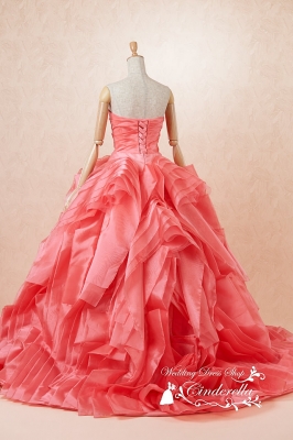 AN0100ＣＰ Cinderella & Co.,Inc.