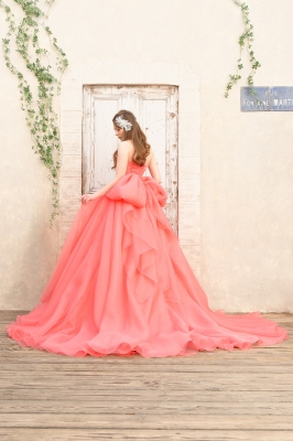 SS9590CPV Cinderella & Co.,Inc.