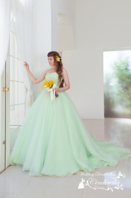 SS1960GR Cinderella & Co.,Inc. 写真画像