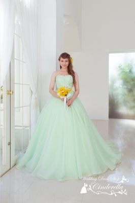 SS1960GR Cinderella & Co.,Inc.