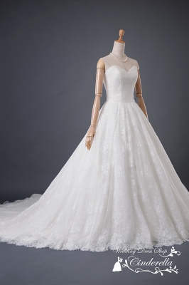 SS6897 Cinderella & Co.,Inc.