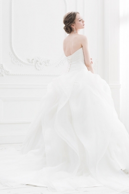 SS2789 Cinderella & Co.,Inc.