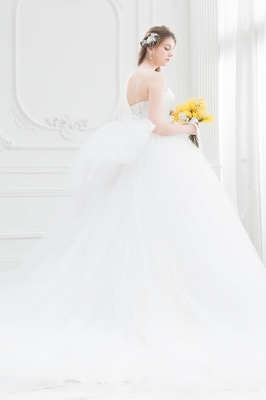 SS4753 Cinderella & Co.,Inc. 写真画像