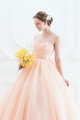 SS4187AP Cinderella & Co.,Inc.
