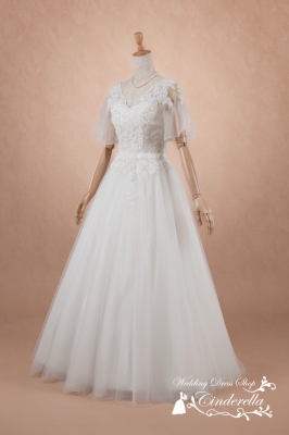 SS3933 Cinderella & Co.,Inc.