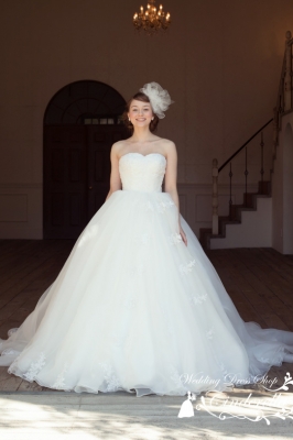 SS4617 Cinderella & Co.,Inc.