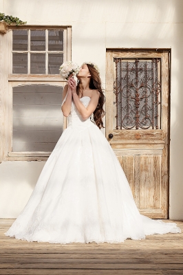 SS6236 Cinderella & Co.,Inc. 写真画像