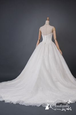 SS6236 Cinderella & Co.,Inc.